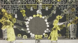 Chrysanthèmes - 1907
