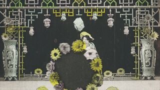 Chrysanthèmes - 1907