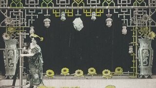 Chrysanthèmes - 1907