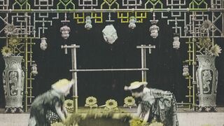 Chrysanthèmes - 1907