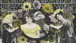 Chrysanthèmes - 1907