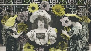 Chrysanthèmes - 1907