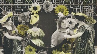 Chrysanthèmes - 1907