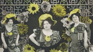 Chrysanthèmes - 1907