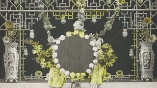 Chrysanthèmes - 1907