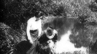 Within our Gates - 1920