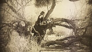 Lash of the Whip - 1924