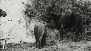 The Unknown Ranger - 1920