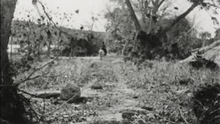 The Unknown Ranger - 1920