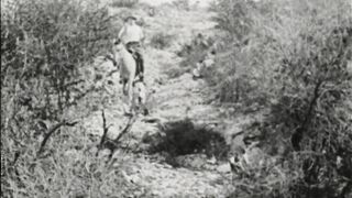 The Unknown Ranger - 1920