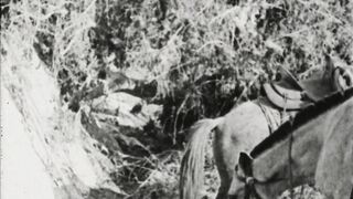 The Unknown Ranger - 1920