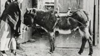 The Unknown Ranger - 1920