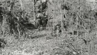 The Unknown Ranger - 1920