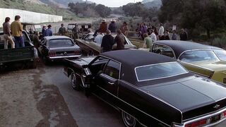 Invasion of the Bee Girls - 1973