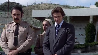 Invasion of the Bee Girls - 1973