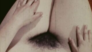 Jezebel 16mm Nudie Cutie