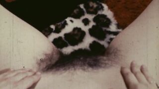 Jezebel 16mm Nudie Cutie