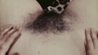 Jezebel 16mm Nudie Cutie