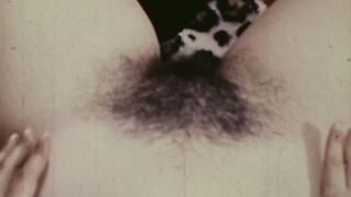 Jezebel 16mm Nudie Cutie