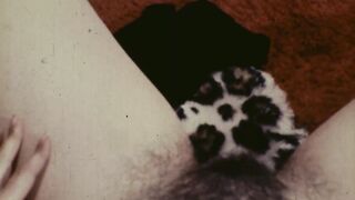 Jezebel 16mm Nudie Cutie