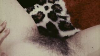 Jezebel 16mm Nudie Cutie