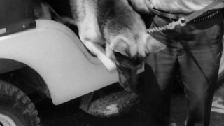 Night of the Living Dead - 1968