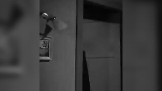 Plan 9 from Outer Space - 1959