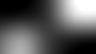 The Wild Party - 1929