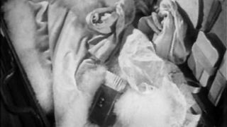 The Wild Party - 1929