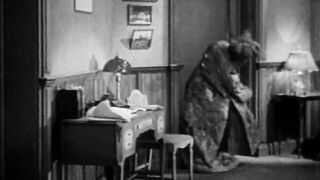 The Wild Party - 1929