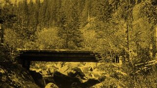 Nosferatu: A Symphony of Horror - 1922