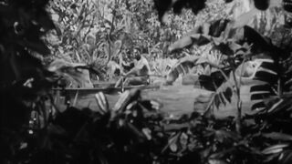 Africa Screams - 1949