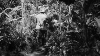 Africa Screams - 1949