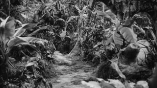 Africa Screams - 1949