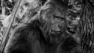 Africa Screams - 1949