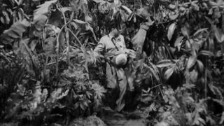 Africa Screams - 1949
