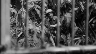 Africa Screams - 1949