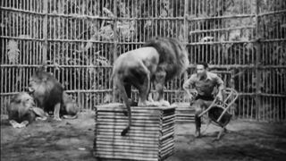 Africa Screams - 1949