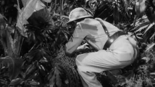 Africa Screams - 1949