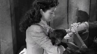 Angel and the Badman - 1947