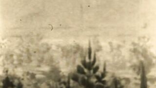 The Follies - Circa 1927-1929