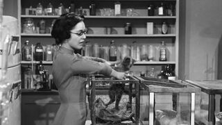 The Wasp Woman [Theatrical Release] - 1959