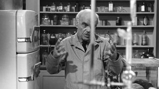 The Wasp Woman [Theatrical Release] - 1959