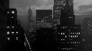 The Wasp Woman [Theatrical Release] - 1959