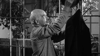 The Wasp Woman [Theatrical Release] - 1959