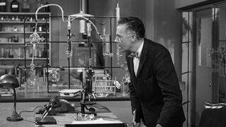 The Wasp Woman [Theatrical Release] - 1959