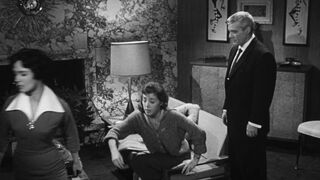 The Wasp Woman [Theatrical Release] - 1959