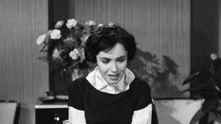 The Wasp Woman [Theatrical Release] - 1959