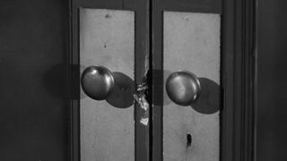 The Wasp Woman [Theatrical Release] - 1959