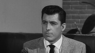 The Wasp Woman [Theatrical Release] - 1959